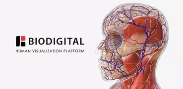 BioDigital Human - 3D Anatomy