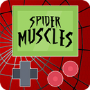 SpiderMuscles APK