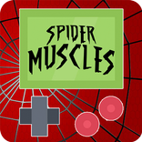 SpiderMuscles