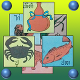 น้ำเต้า ปู ปลา โหด มัน ฮา 2014 biểu tượng