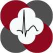 Icona ECG Analysis for Polar H10