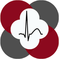 ECG Analysis for Polar H10
