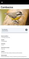 Guia de Aves da Reg Bragantina تصوير الشاشة 3