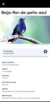 Guia de Aves da Reg Bragantina تصوير الشاشة 2