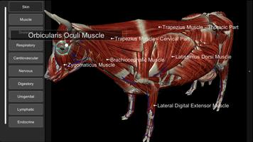 3D Bovine Anatomy скриншот 1