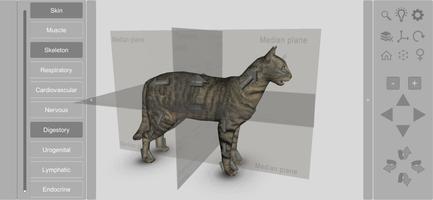 3D Cat Anatomy bài đăng