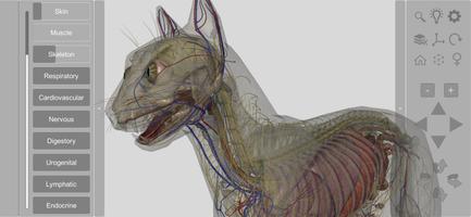 3D Cat Anatomy capture d'écran 1