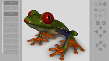 3D Frog Skeleton Affiche