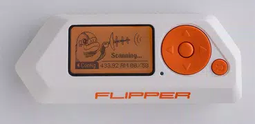 Flipper Zero Tips