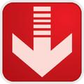 Video Downloads