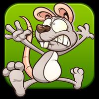 Cheesy Run: Cat & Mice capture d'écran 1