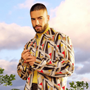 Maluma Wallpapers HD APK