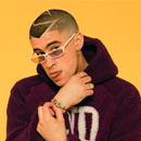 Bad Bunny Wallpapers HD APK