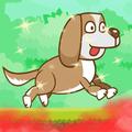 wild dog run,fresh dog