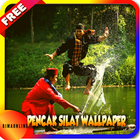 Pencak Silat Indonesia Wallpaper أيقونة