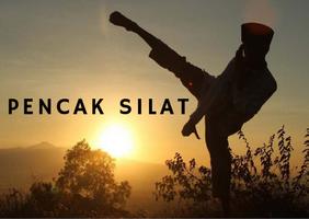 Pencak Silat Indonesia Wallpaper captura de pantalla 1