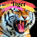 Tiger wallpapers desktop backgrounds aplikacja