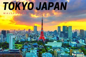 Tokyo HD Wallpapers Background Images Plakat
