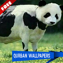 Meme Qurban Idul Adha Wallpaper aplikacja