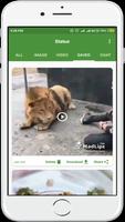 All Status Saver - Downloader ภาพหน้าจอ 2