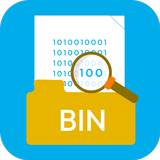 Apri file bin