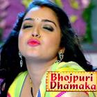 Bhojpuri Video Song HD simgesi