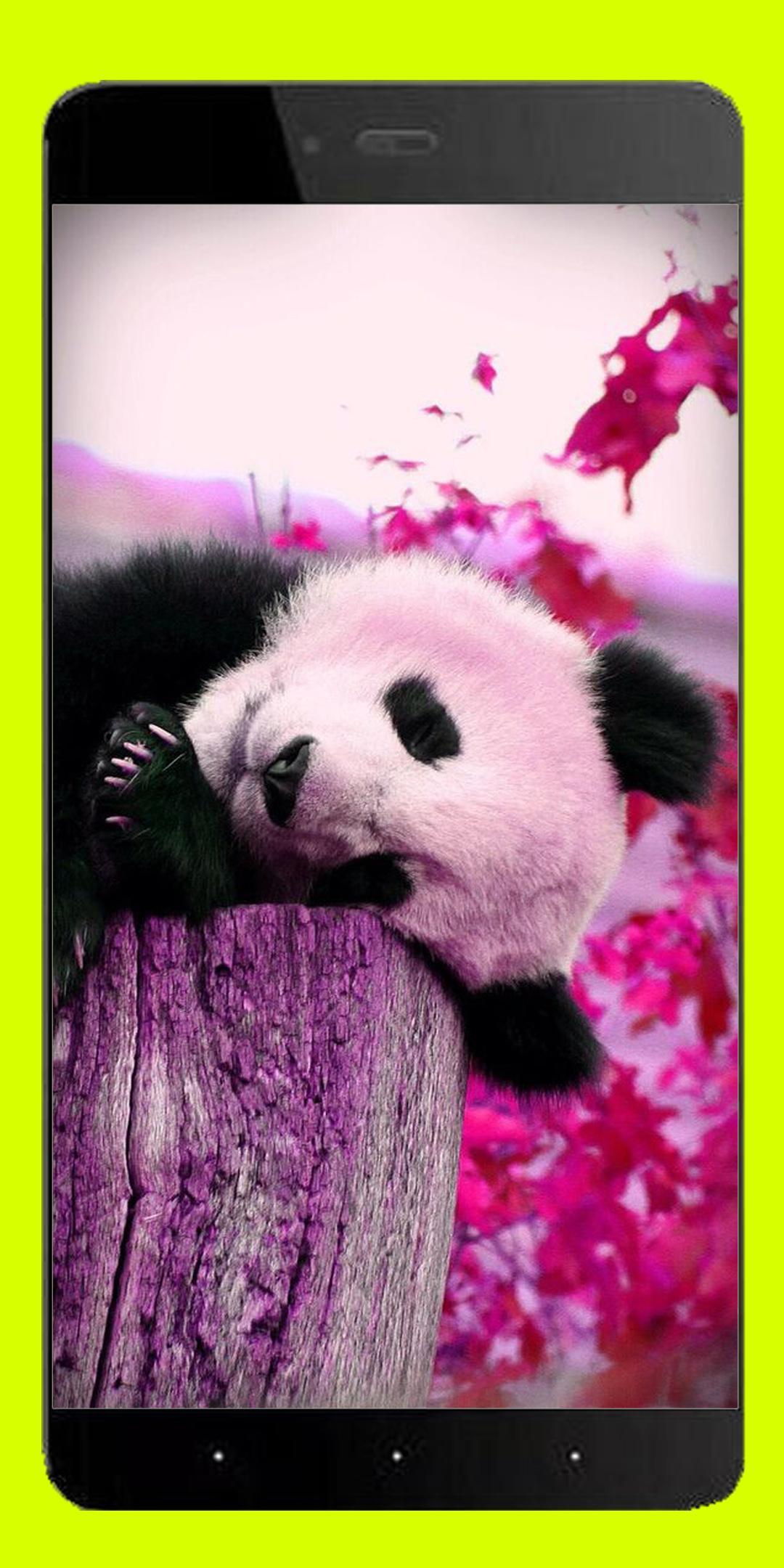 Cute Panda Wallpaper Hd For Android Apk Download