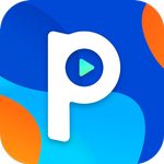 PlayBucks icon