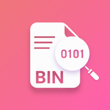 Bin File Viewer