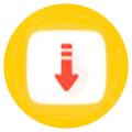 Tube Video Downloader & Player