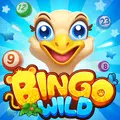 Bingo Wild