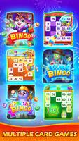 Bingo Wild poster