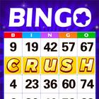 Bingo Crush: Happy Bingo Games icône