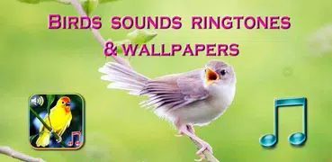 Uccelli suoni e suonerie