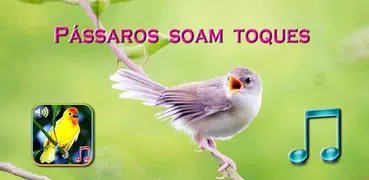 Pássaros soam toques