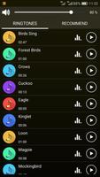 Birds Sounds Ringtones screenshot 1