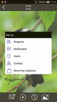 Birds Sounds Ringtones screenshot 2