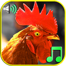 超級搞笑鬧鐘鈴聲 - 快樂起床有趣實用 APK