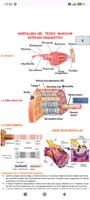 Anatomía ảnh chụp màn hình 2