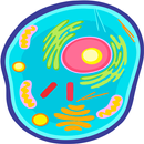 Biología Preuniversitario Grat APK