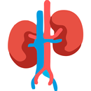 Aparato Urinario APK