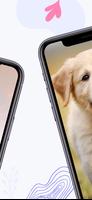 Puppy Wallpaper 截图 1