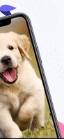 Puppy Wallpaper 截图 2