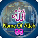 99 Name of Allah With Meaning & Benefit in English APK