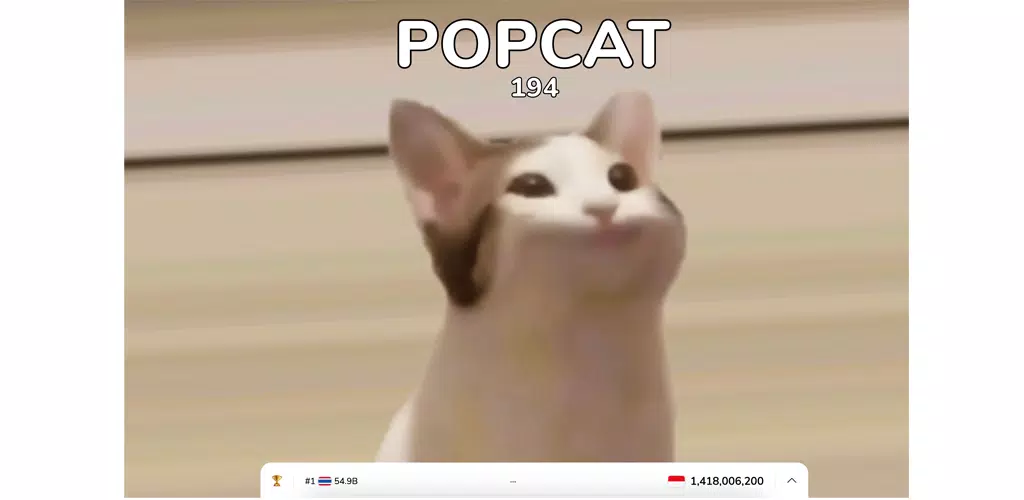 Pop cat