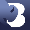 BISoN icon