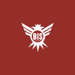 One BIS ikon