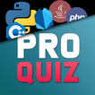 ”Programming Quiz