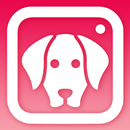 DogCam - Dog Selfie Filters an APK