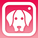 APK DogCam - Dog Selfie Filters an